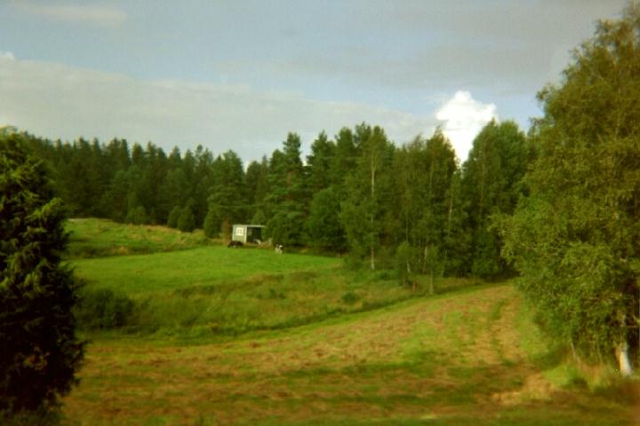 www.sjostugan.net